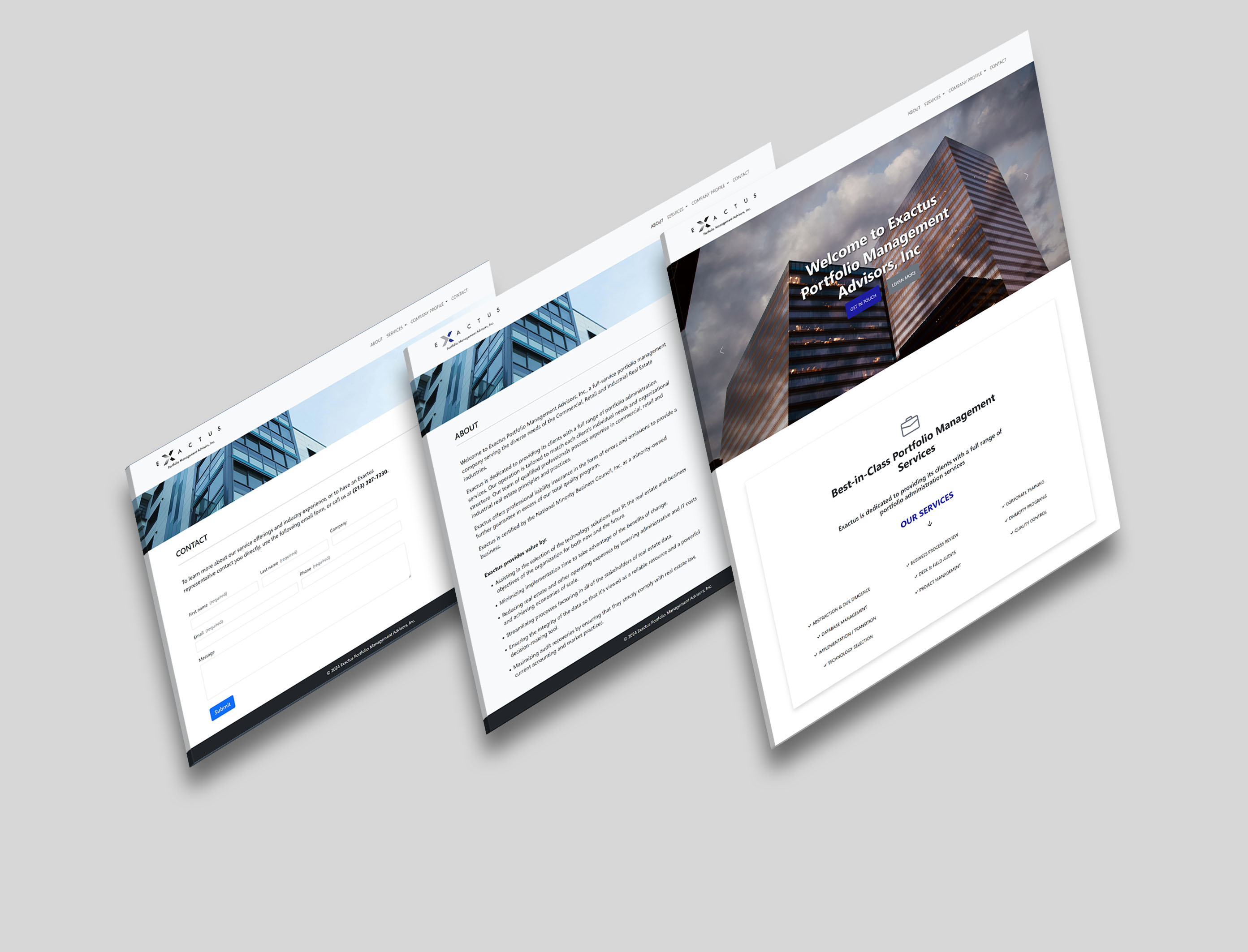 Exactus project screenshot